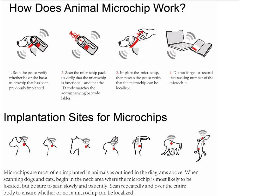 RFID Pet Microchip Glass Tag with Syringe for Pet Tracking